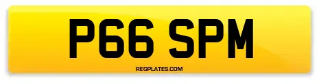 P66 SPM