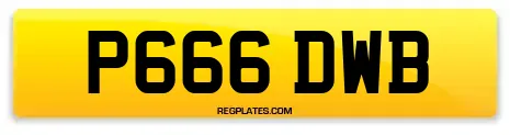 P666 DWB