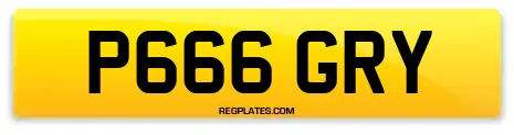 P666 GRY