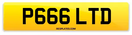 P666 LTD