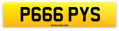 P666 PYS