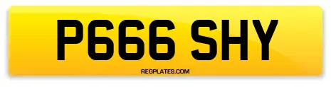 P666 SHY