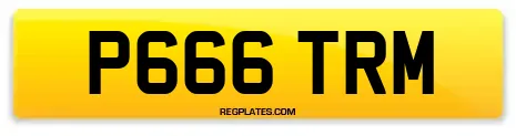 P666 TRM