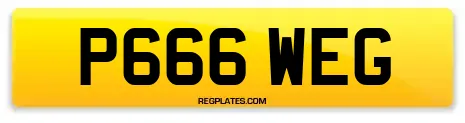 P666 WEG