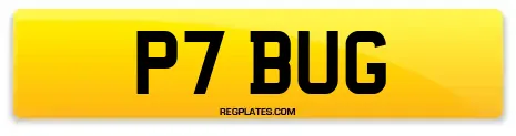 P7 BUG