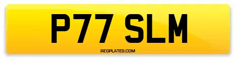 P77 SLM