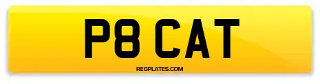 P8 CAT