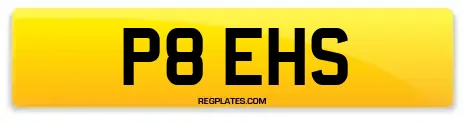 P8 EHS