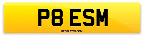 P8 ESM