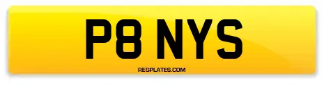 P8 NYS