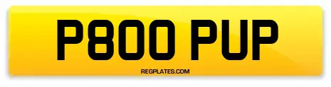 P800 PUP