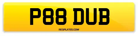 P88 DUB