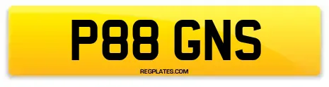 P88 GNS