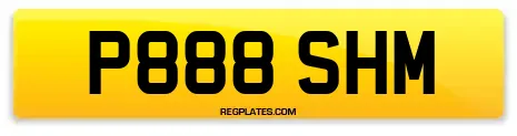 P888 SHM
