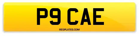 P9 CAE