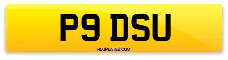 P9 DSU