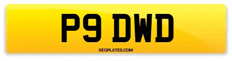 P9 DWD