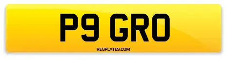 P9 GRO