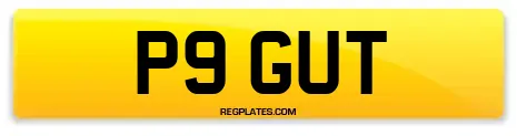 P9 GUT