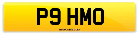 P9 HMO