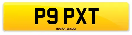 P9 PXT