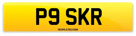 P9 SKR