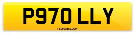P970 LLY