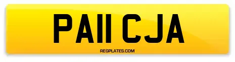 PA11 CJA