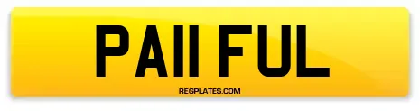 PA11 FUL