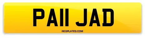 PA11 JAD