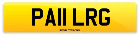 PA11 LRG