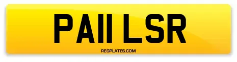 PA11 LSR
