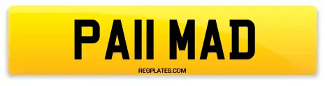 PA11 MAD