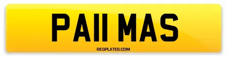 PA11 MAS