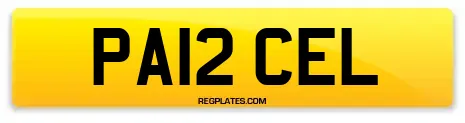 PA12 CEL