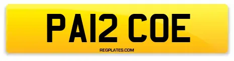 PA12 COE