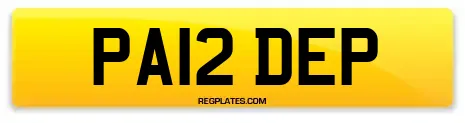 PA12 DEP