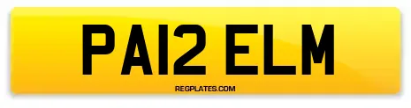PA12 ELM