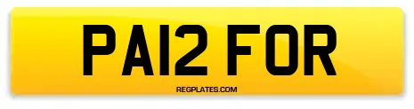 PA12 FOR