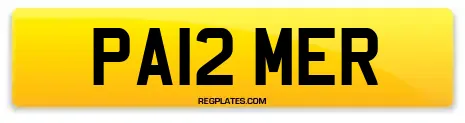 PA12 MER