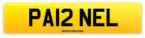 PA12 NEL