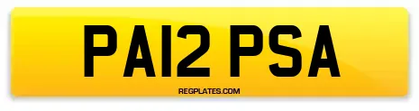 PA12 PSA