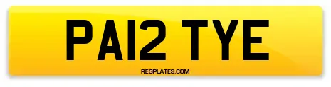 PA12 TYE