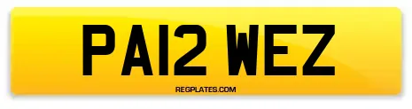 PA12 WEZ