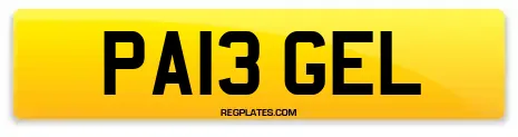 PA13 GEL