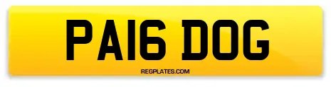 PA16 DOG