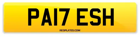 PA17 ESH