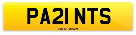 PA21 NTS