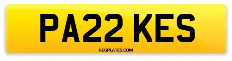 PA22 KES