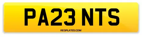 PA23 NTS